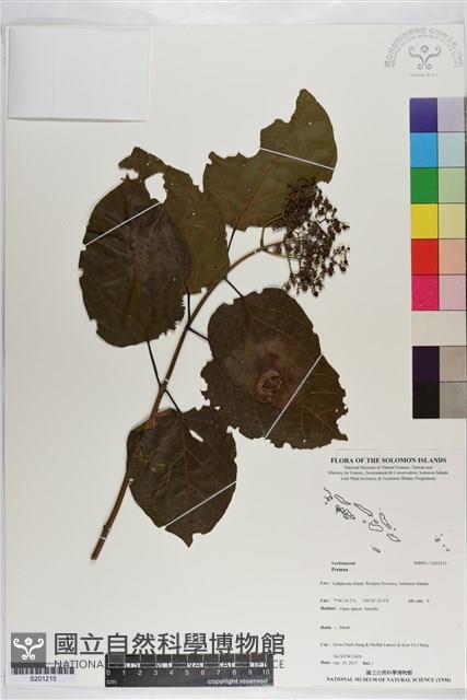 登錄號:S201215藏品圖，第1張