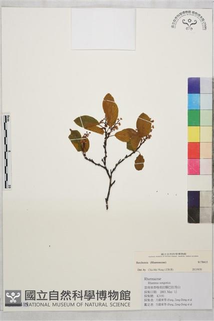 登錄號:S170415藏品圖，第1張