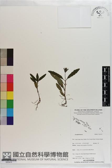 登錄號:S203415藏品圖，第1張