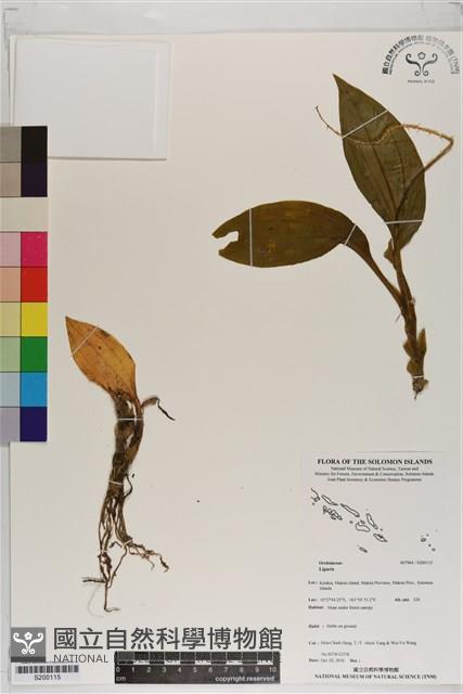 登錄號:S200115藏品圖，第1張