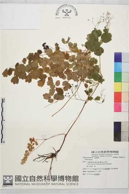 登錄號:S080115藏品圖，第1張