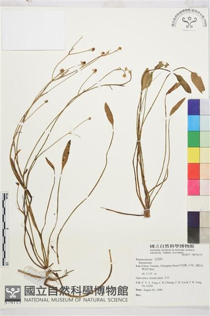 登錄號:S074115藏品圖，第1張