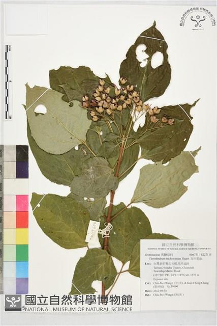 海州常山藏品圖，第1張