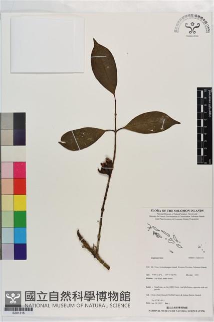 登錄號:S201315藏品圖，第1張