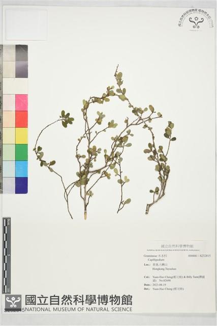 登錄號:S232815藏品圖，第1張