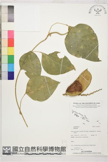 登錄號:S207815藏品圖，第1張