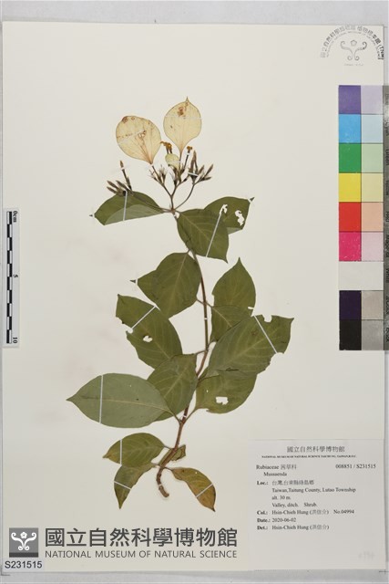 登錄號:S231515藏品圖，第1張