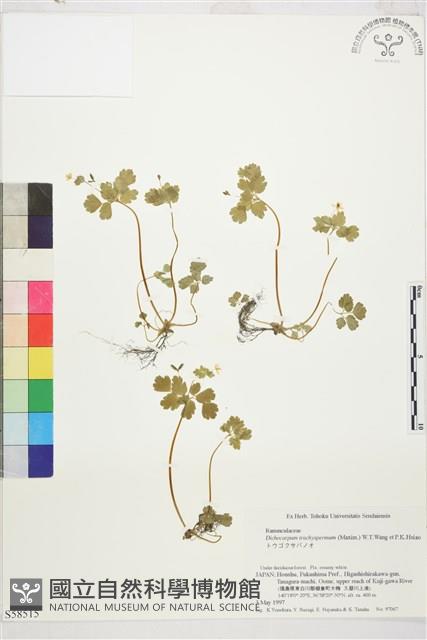 登錄號:S058515藏品圖，第1張