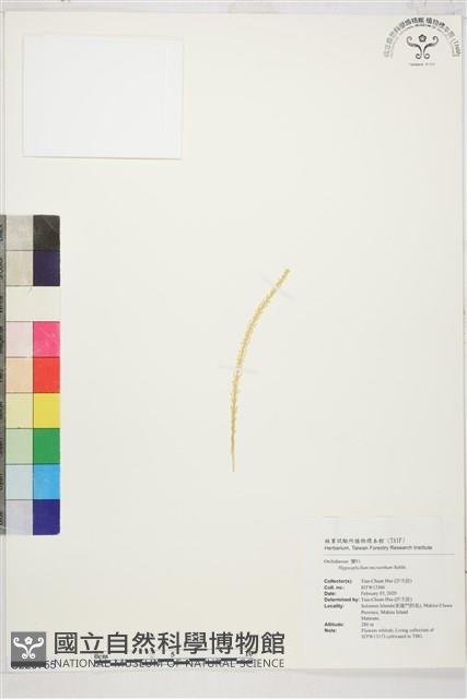 登錄號:S220755藏品圖，第1張