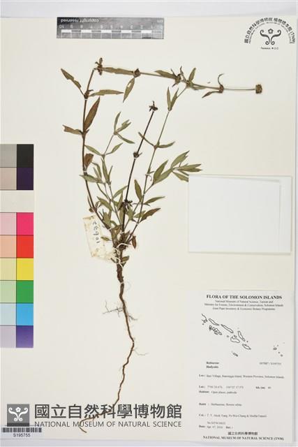 登錄號:S195755藏品圖，第1張