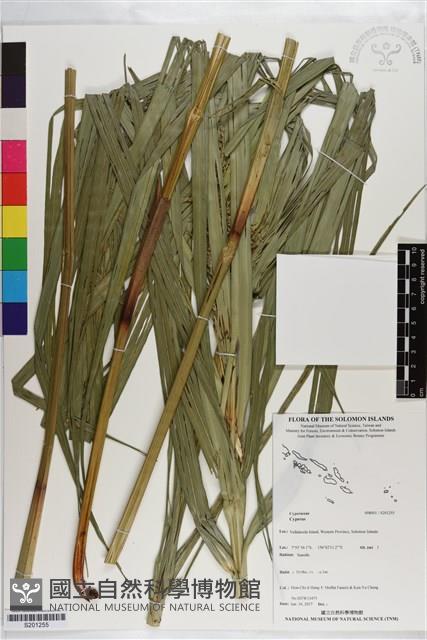 登錄號:S201255藏品圖，第1張