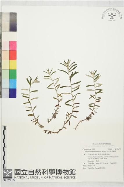 玉山抱莖籟簫藏品圖，第1張