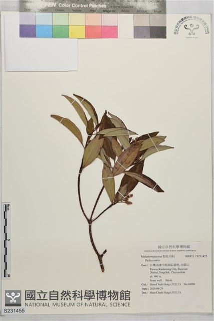 登錄號:S231455藏品圖，第1張