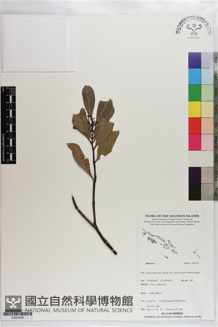 登錄號:S203455藏品圖，第1張