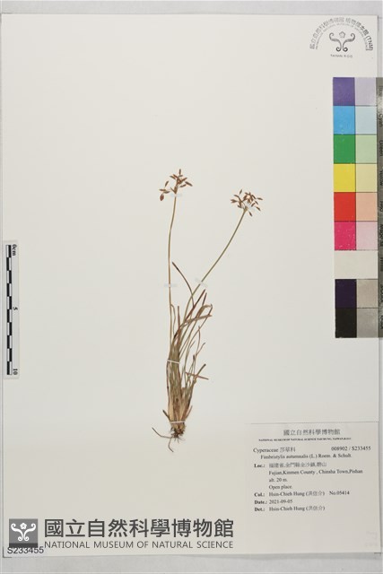 登錄號:S233455藏品圖，第1張