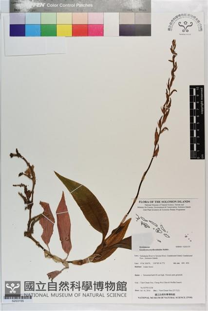 登錄號:S203155藏品圖，第1張