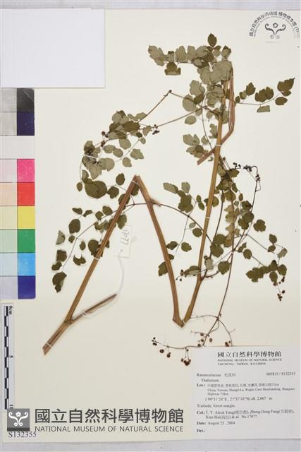 登錄號:S132355藏品圖，第1張