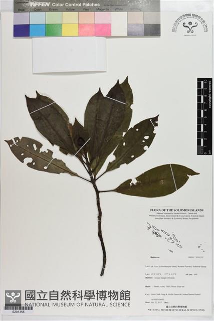 登錄號:S201355藏品圖，第1張