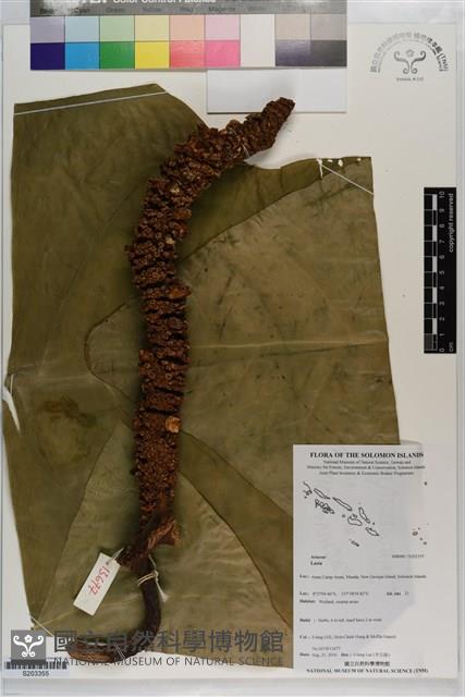 登錄號:S203355藏品圖，第1張