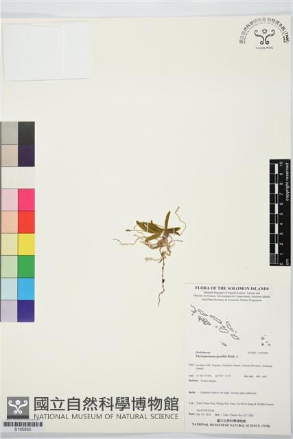 登錄號:S195855藏品圖，第1張