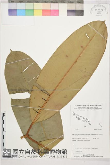 登錄號:S207855藏品圖，第1張