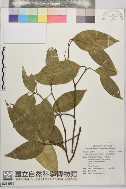 石苓舅藏品圖，第1張