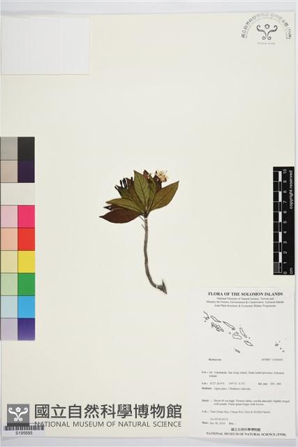 登錄號:S195695藏品圖，第1張