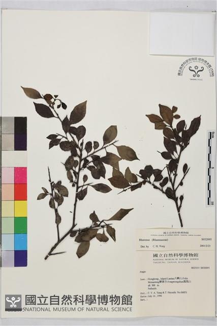 登錄號:S032095藏品圖，第1張