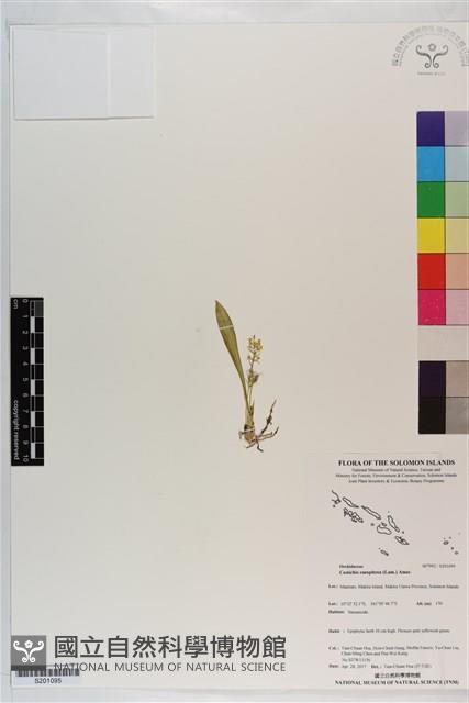 登錄號:S201095藏品圖，第1張