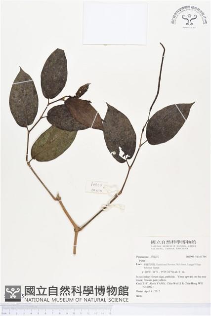 登錄號:S164795藏品圖，第1張