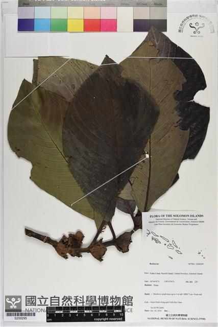 登錄號:S200295藏品圖，第1張