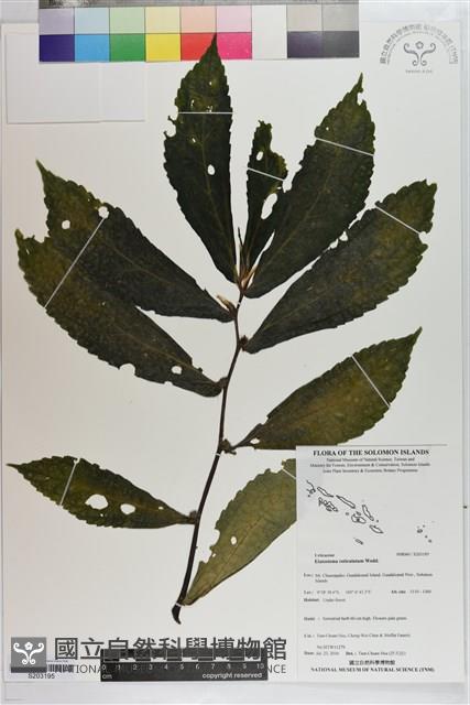 登錄號:S203195藏品圖，第1張