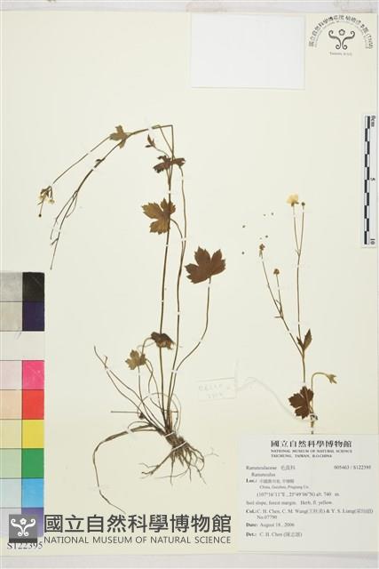 登錄號:S122395藏品圖，第1張