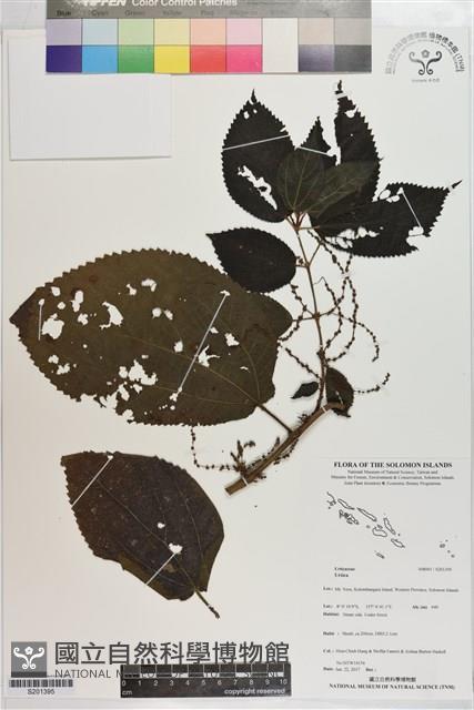 登錄號:S201395藏品圖，第1張