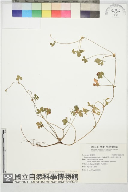 登錄號:S124395藏品圖，第1張