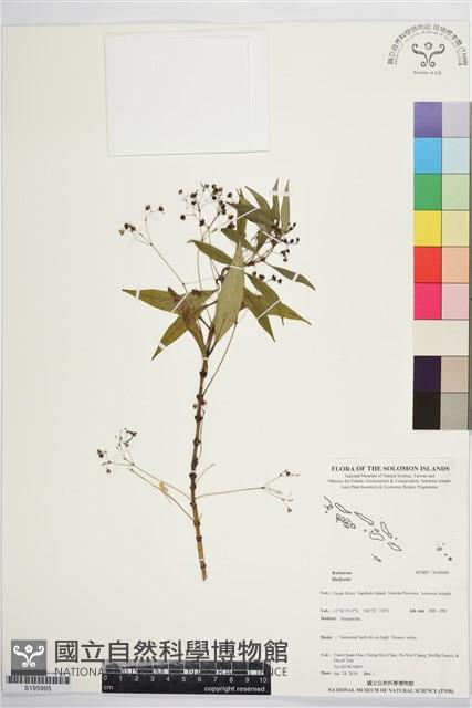 登錄號:S195995藏品圖，第1張