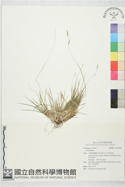 登錄號:S232595藏品圖，第1張