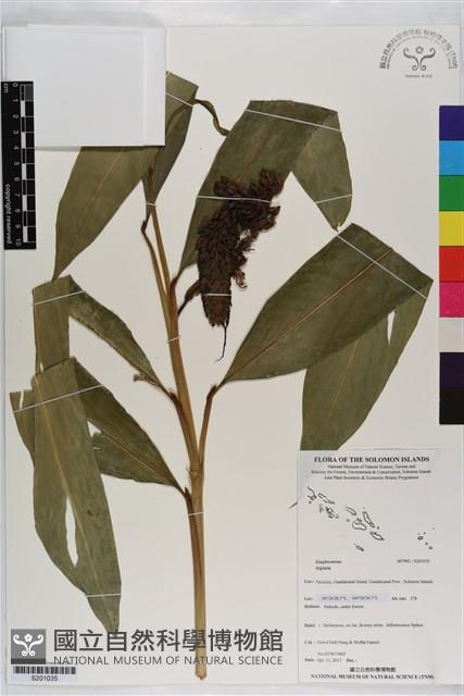 登錄號:S201035藏品圖，第1張