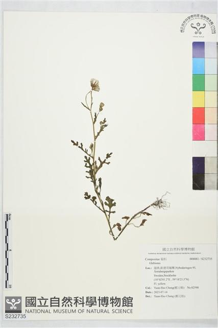 登錄號:S232735藏品圖，第1張