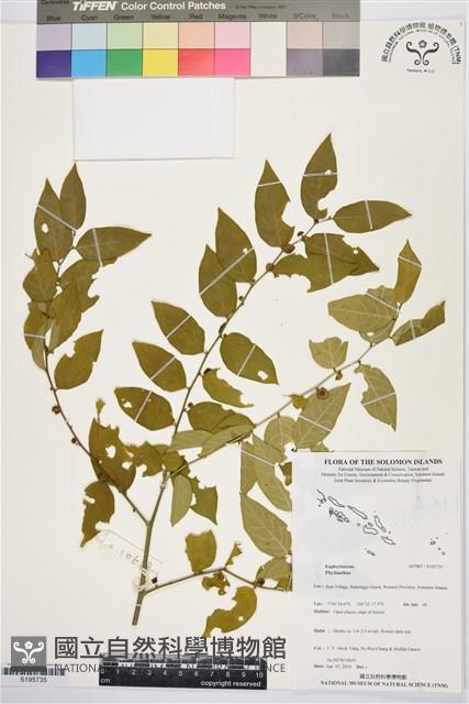 登錄號:S195735藏品圖，第1張