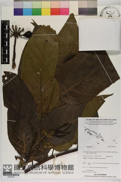 登錄號:S200235藏品圖，第1張