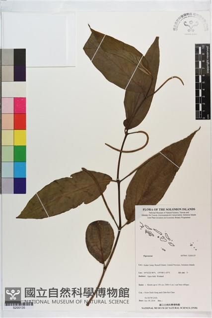 登錄號:S200135藏品圖，第1張