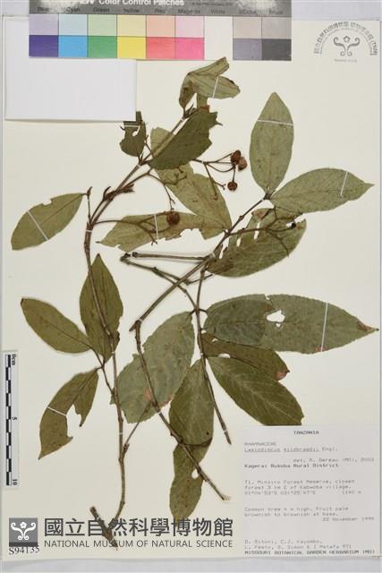 登錄號:S094135藏品圖，第1張