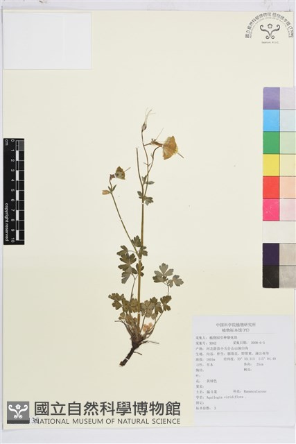 登錄號:S143135藏品圖，第1張