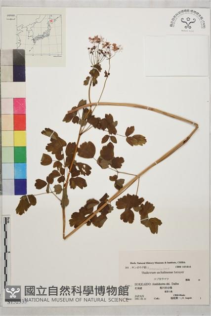 登錄號:S152335藏品圖，第1張