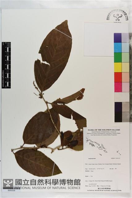 登錄號:S203335藏品圖，第1張