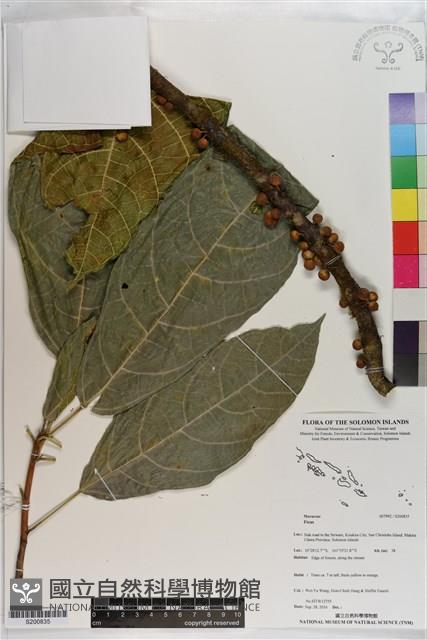 登錄號:S200835藏品圖，第1張