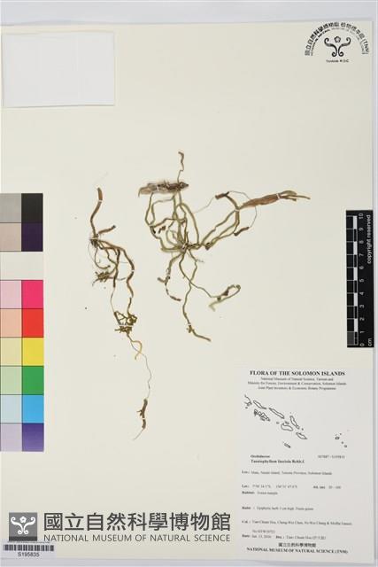 登錄號:S195835藏品圖，第1張