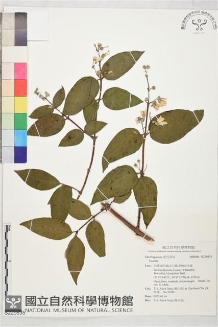 登錄號:S229835藏品圖，第1張