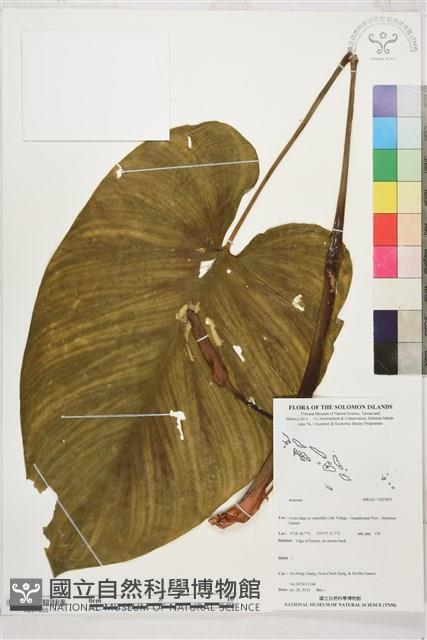 登錄號:S207835藏品圖，第1張